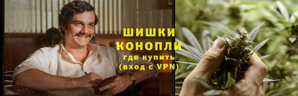 дживик Верхний Тагил