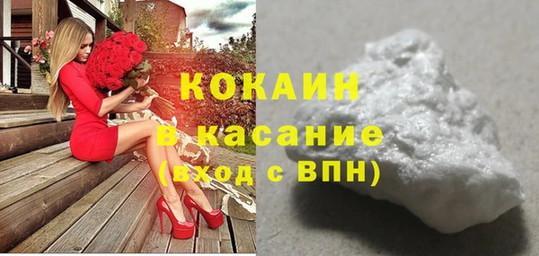 дживик Верхний Тагил