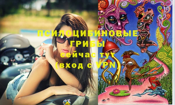шишки Верхнеуральск