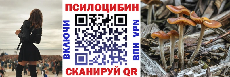купить  цена  Новохопёрск  mega ТОР  Псилоцибиновые грибы прущие грибы 