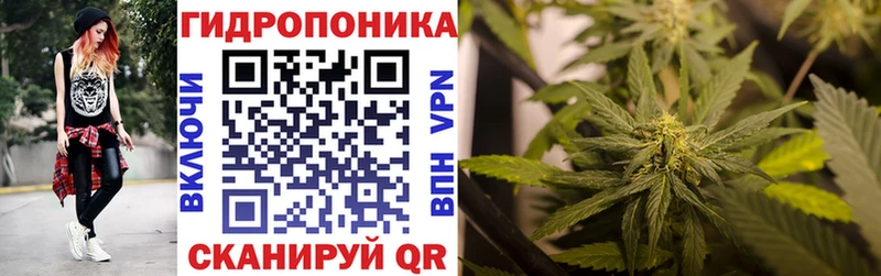 Каннабис MAZAR  kraken   Новохопёрск  где купить наркоту 